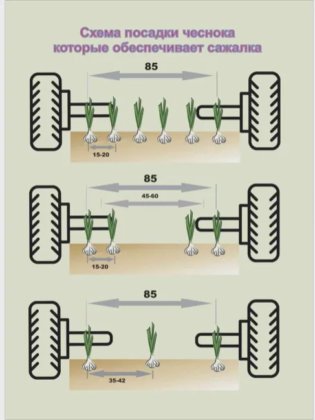 Automatic planter for onions and