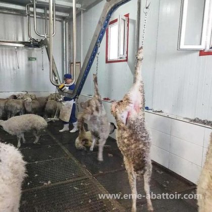 智能屠宰解决方案 用于屠宰场肉类加工的活体绵羊/山羊电击箱 屠宰场设备