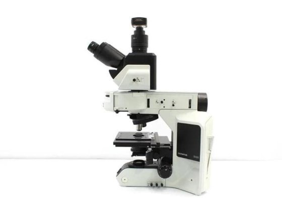 Olympus BX53 Upright Fluorescence Microscope