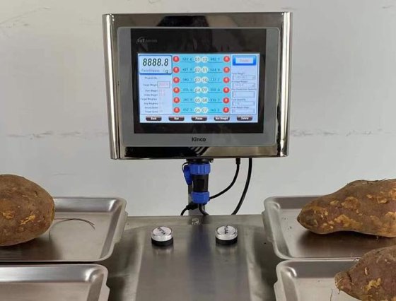 高精度芒果西红柿手动半自动组合秤，用于蔬菜水果称重