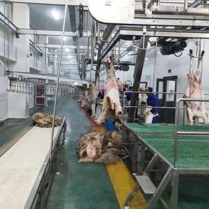 智能屠宰解决方案 用于屠宰场肉类加工的活体绵羊/山羊电击箱 屠宰场设备