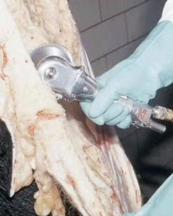 最优惠价格 牛屠宰场屠牛设备剥皮刀