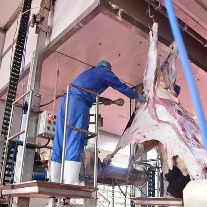 屠宰解决方案 奶牛屠宰设备 牛屠宰场输送轨道系统 带屠宰场设备的清真方法