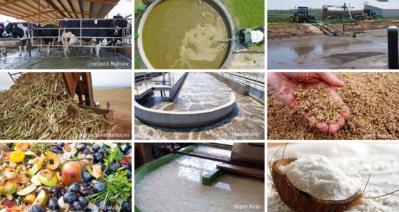 脱水スクリュープレス