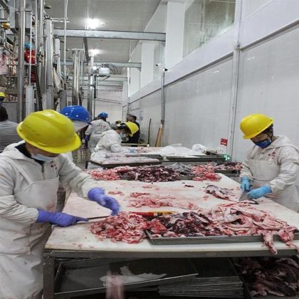 农业机械和设备 全自动肉类热缩机 牛羊肉鸡肉包装切肉机