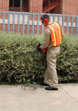 Hedge Trimmer