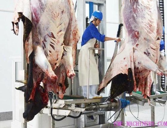 制造清真牛屠宰场拌料生产线设备 屠宰机械 牛肉屠宰场设备