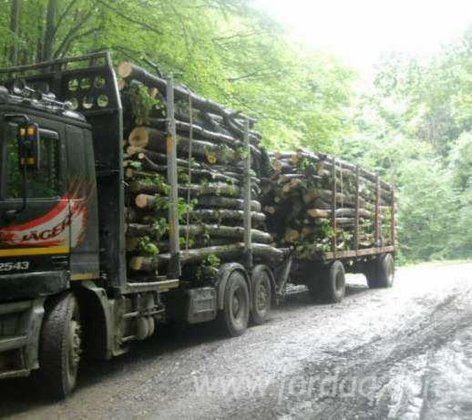 No brand Short Log Truck