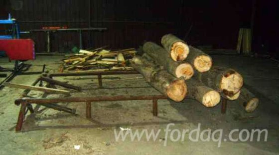 Circular Saw Romania in Movila