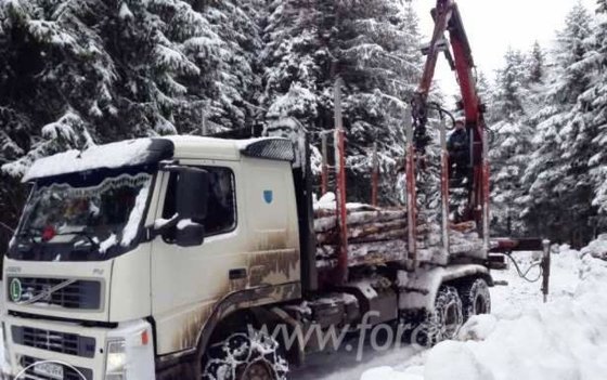 2006 Short Log Truck Romania