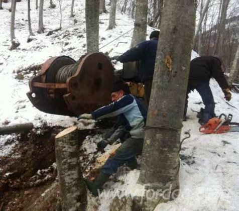 No brand Cableway Romania in