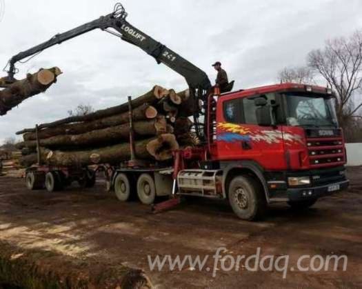 2000 scania Longlog Truck Romania