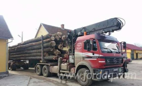 1999 Mercedes Longlog Truck Romania