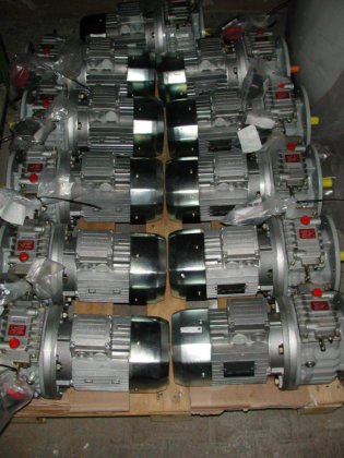 2010 Getriebemotor