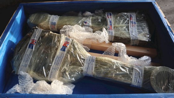 2021 拉斯顿连杆