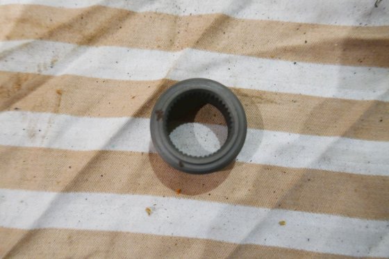 キャタピラー・ブッシュ