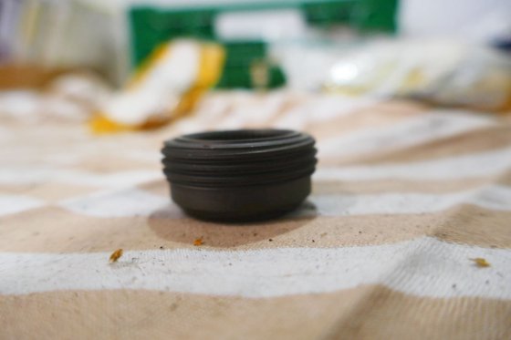 キャタピラー・ブッシュ