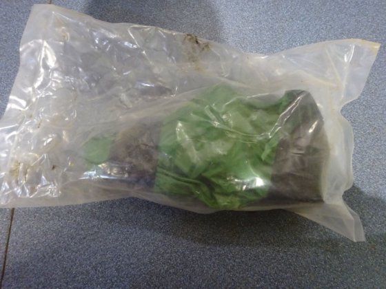 ブライス燃料ポンプ