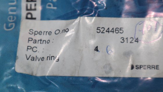 Sperre Ventilringplatte 3124