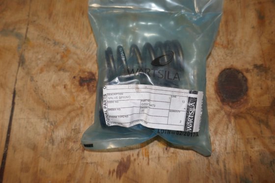 瓦锡兰-瓦锡兰气门弹簧 DZ02154473