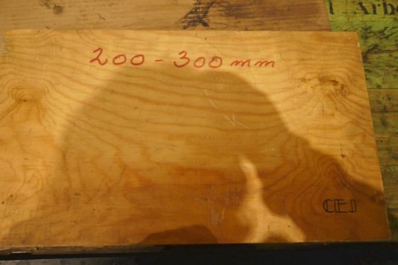 CEJマイクロメータ 200-300mm