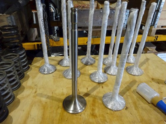 用于排气阀的苏尔寿阀轴