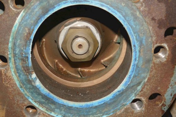 ベルゲン・ウルスタイン ロールスロイス ウォーターポンプ＆ドライブ