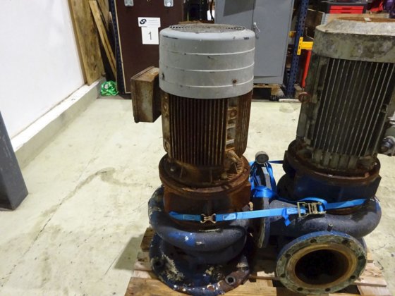 1981年 フランク・モーン VH200/150Z