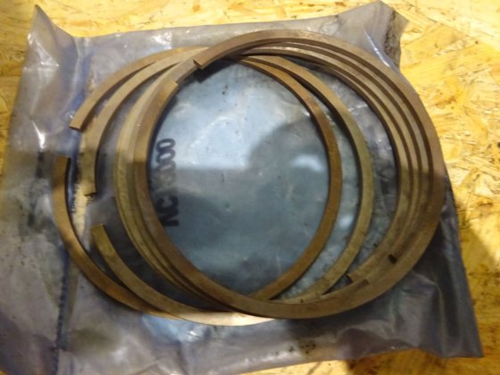 スルザー プランジャーリング