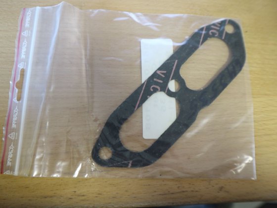 Caterpillar Dichtung