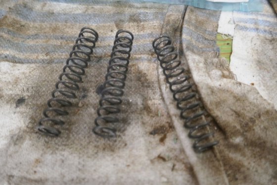 ベルゲン・ウルシュタイン ロールスロイス・スプリング 018538