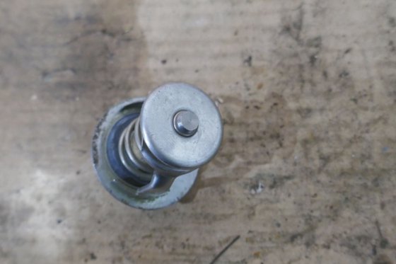 沃尔沃节温器 875788