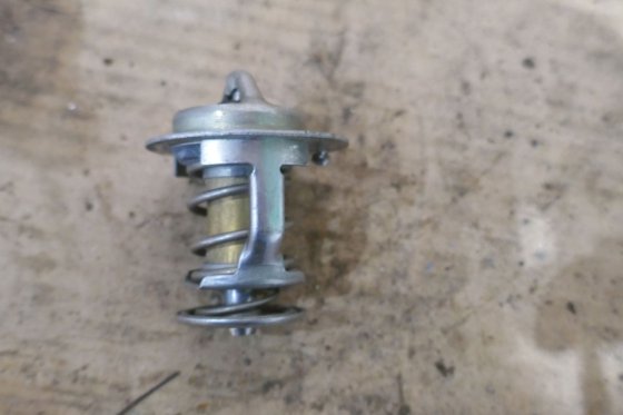 沃尔沃节温器 875788