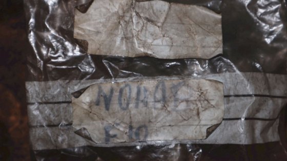 ノハブ極ジャスタースクリュー