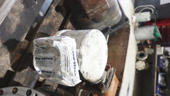 用于 AX 的 Wichmann 润滑油泵