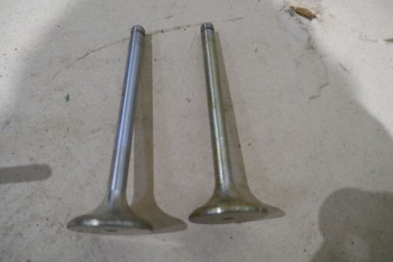 MAN 排气阀 51.04101-0411