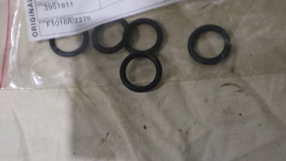 诺哈勃极地 O 型圈 796-2