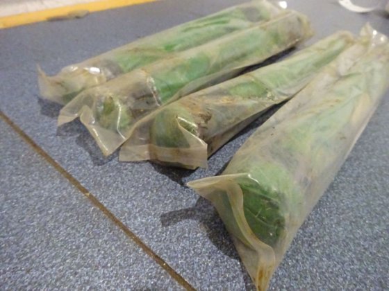 ミラーレス・ブラックストーンLEベアリング・ボルト