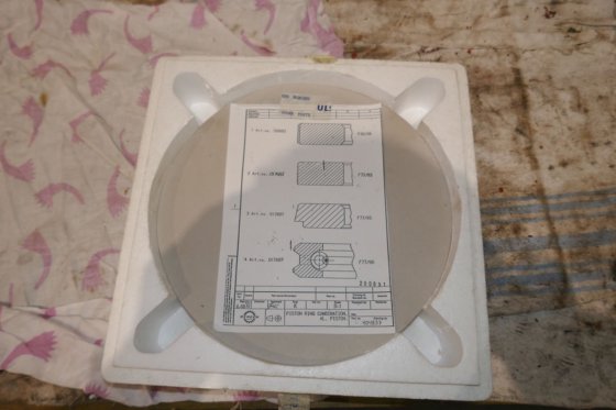 Bergen Ulstein 劳斯莱斯活塞环套件 404837