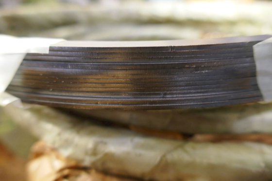 MAN B&W Alpha 软铁环