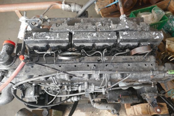 MAN D0836LF01 6 Cyl.