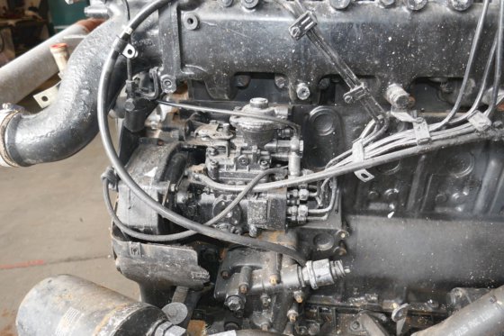 MAN D0836LF01 6 Cyl.