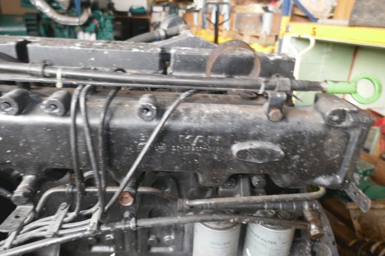 MAN D0836LF01 6 Cyl.