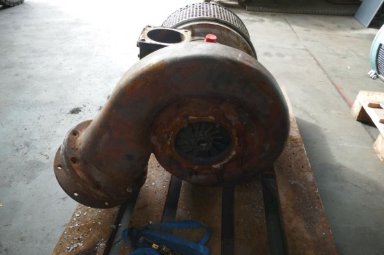 1996 男子/黑白第 20 / 255