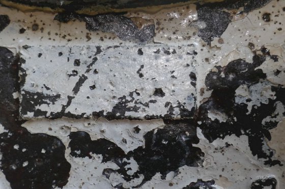 テンフィヨルド スティルマスキン xx cm