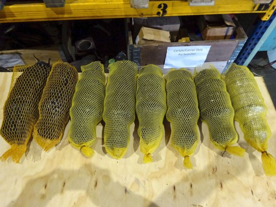 带导向件的苏尔寿启动空气阀