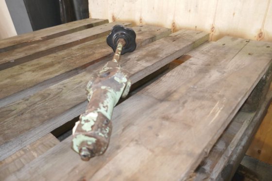 Wichmann 指示鸡眼