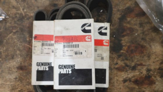 2014 Cummins Belt v Ribbed