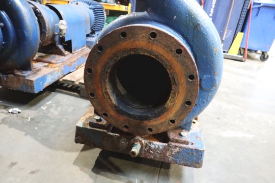 ITT Goulds Pumps 流程泵 3175