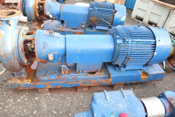 ITT Goulds Pumps 流程泵 3175